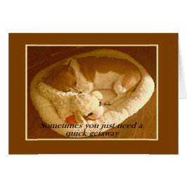 "Macy with Lamb Chop" 5 x 7-kort med kuvert Hälsningskort