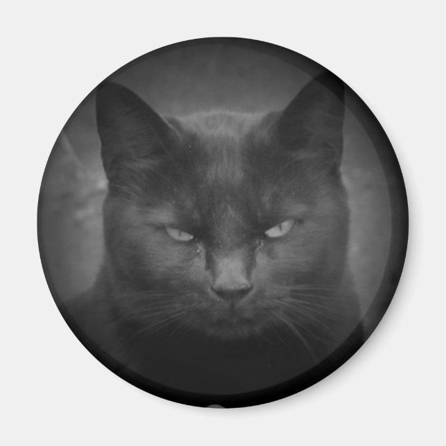 Mad Black cat-spotlight Magnet (Framsidan)