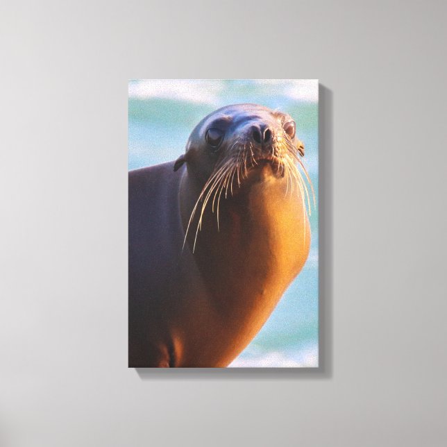 Mad Bro? Canvastryck (Framsida)