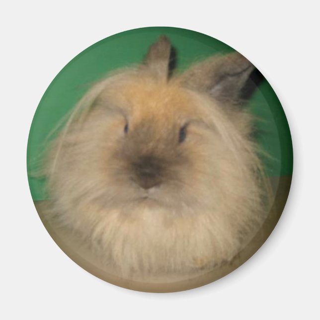 Mad Bunny Magnet (Framsidan)