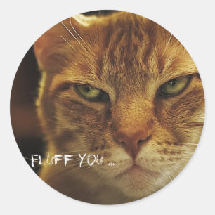 Mad Cat Fluff Runt Klistermärke