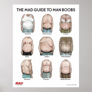 MAD Guide till Man B**bs Poster