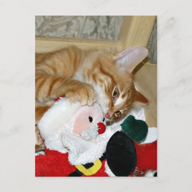 Mad i Santa Helg Vykort (Framsida)