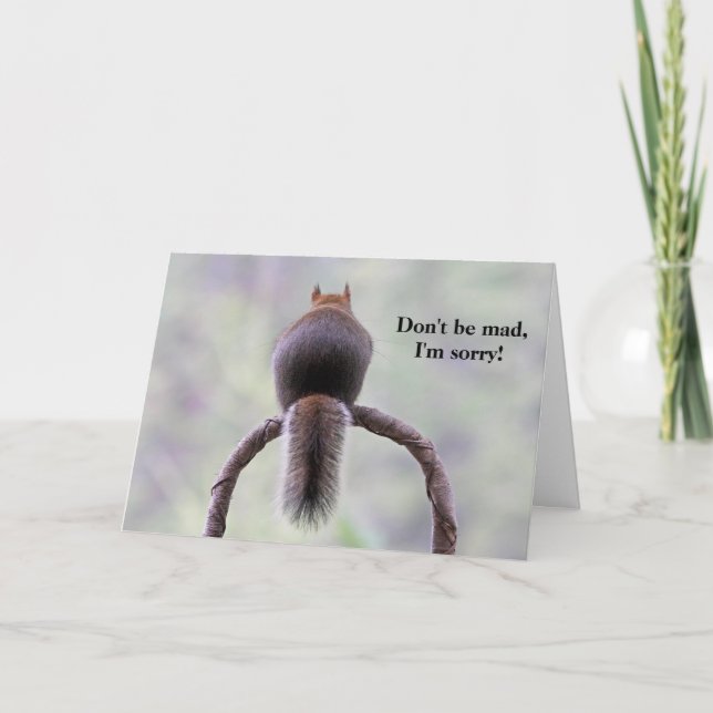 Mad Squirrel Kort (Framsida)
