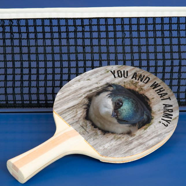 Mad Träd Sväljer Songbird i Nestbox Pingisracket (Insitu)