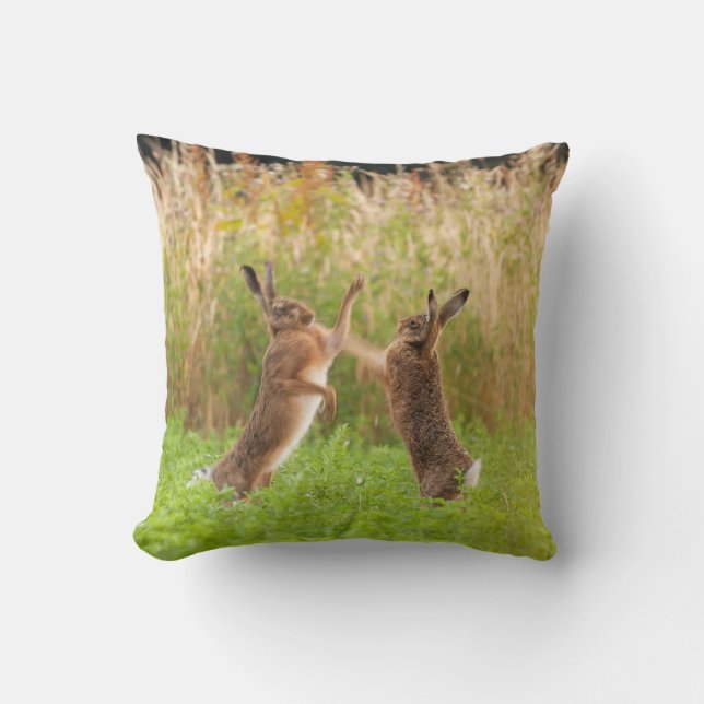 Mad vild boxar och strider i Norfolk UK Kudde (Framsida)