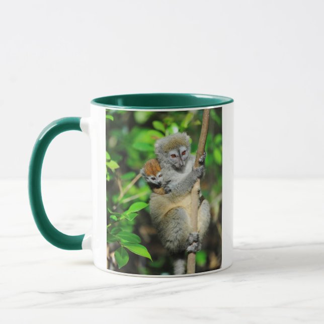Madagascar, Andasibe, Ile Aux Lemuriens, Moder Mugg (Vänster)