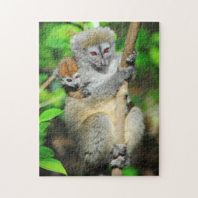 Madagascar, Andasibe, Ile Aux Lemuriens, Moder Pussel (Vertikal)