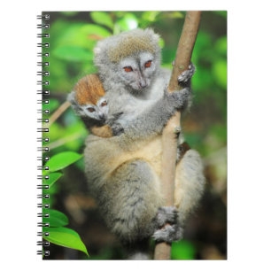 Madagascar, Andasibe, Ile Aux Lemuriens, Mor Anteckningsbok Med Spiral
