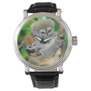 Madagascar, Andasibe, Ile Aux Lemuriens, Mor Armbandsur