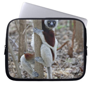 Madagascar, Ankarafantsika reservat; Ampijoroa; Laptop Sleeve