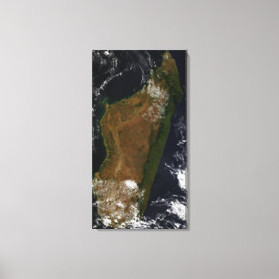 Madagascar Canvastryck