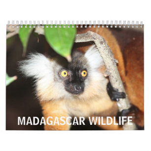 Madagascar djurliv kalender