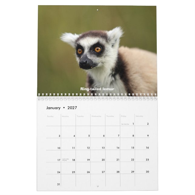 Madagascar djurliv kalender (Jan 2027)