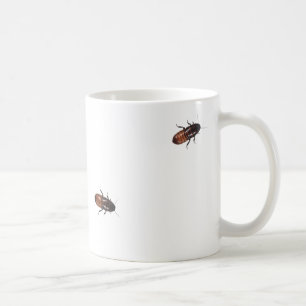 Madagascar kackerlackor invaderar kaffemugg
