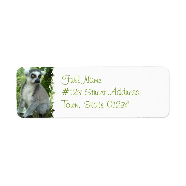 Madagascar Lemur Return-adressetikett Returadress Etikett (Framsidan)