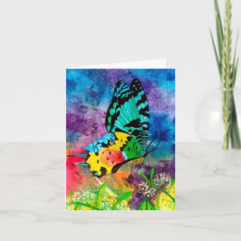 Madagascar Splash-profil Kort