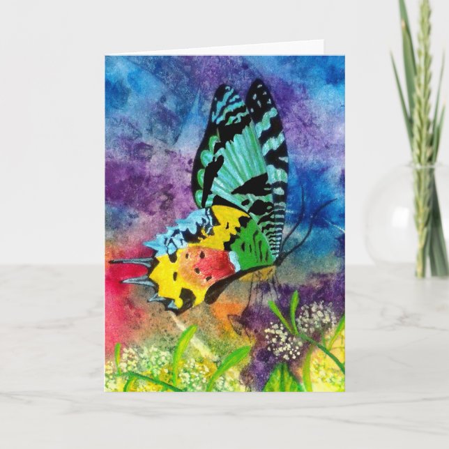 Madagascar Splash-profil Kort (Framsida)