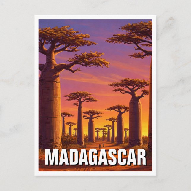 Madagaskar Avenue of the Baobabs Travel Vykort (Framsida)