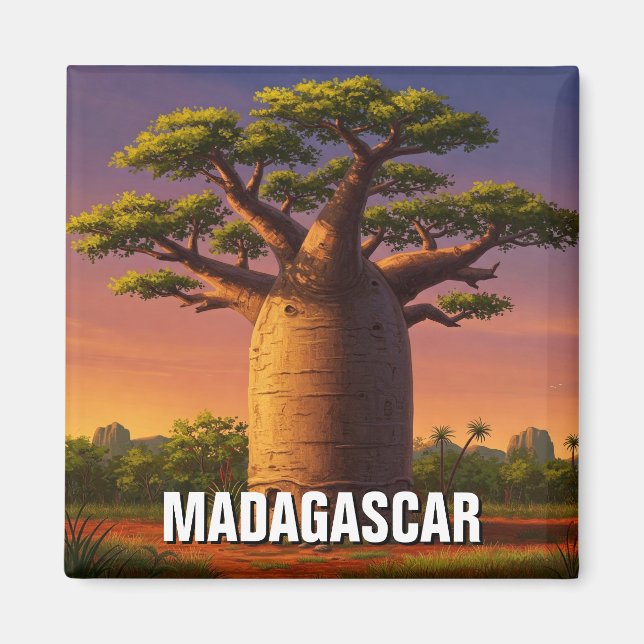 Madagaskar Baobab Träd Travel Magnet (Framsidan)