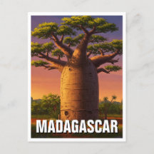 Madagaskar Baobab Träd Travel