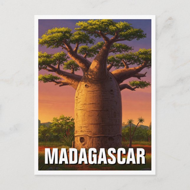 Madagaskar Baobab Träd Travel Vykort (Framsida)
