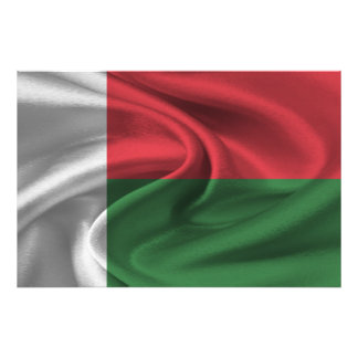 Madagaskar Flagga Fototryck