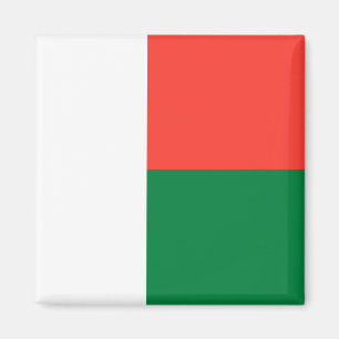 Madagaskar Flagga Magnet