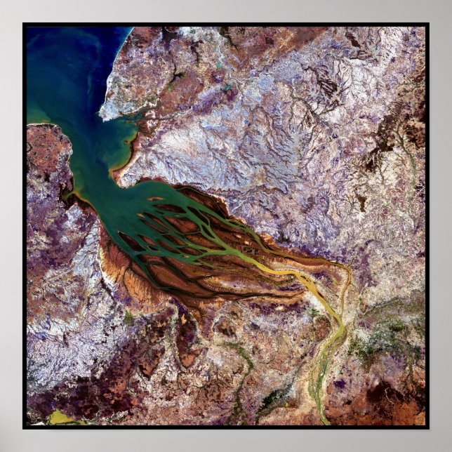 Madagaskar Jellyfish Poster (Framsidan)