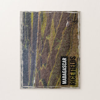 Madagaskar Ris Fält med Goat Pussel