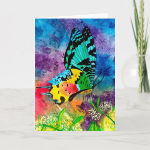 Madagaskar Splash-profil Kort