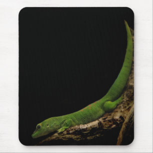 Madagaskars dag Gecko mousepad Musmatta
