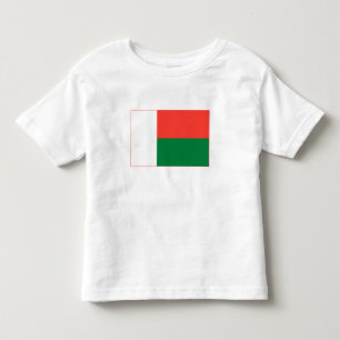 Madagaskars flagga t shirt