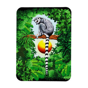 Madagaskars medborgare magnet