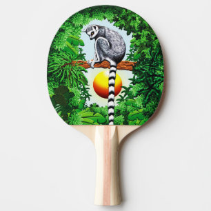 Madagaskars medborgare pingisracket