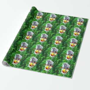Madagaskars medborgare presentpapper