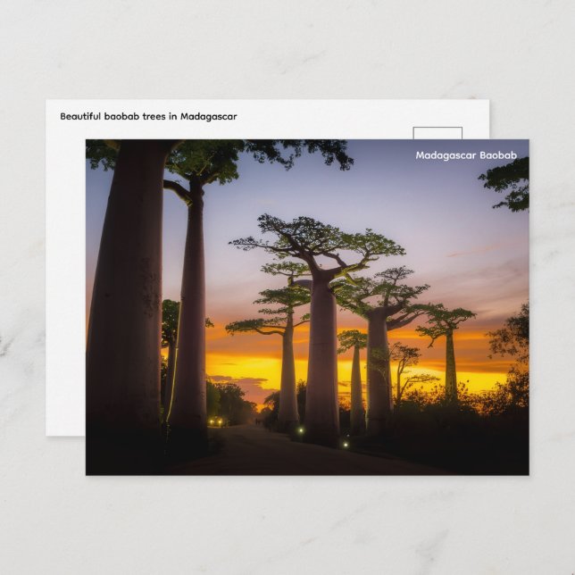 Madagaskars vykort (Fram/baksida)