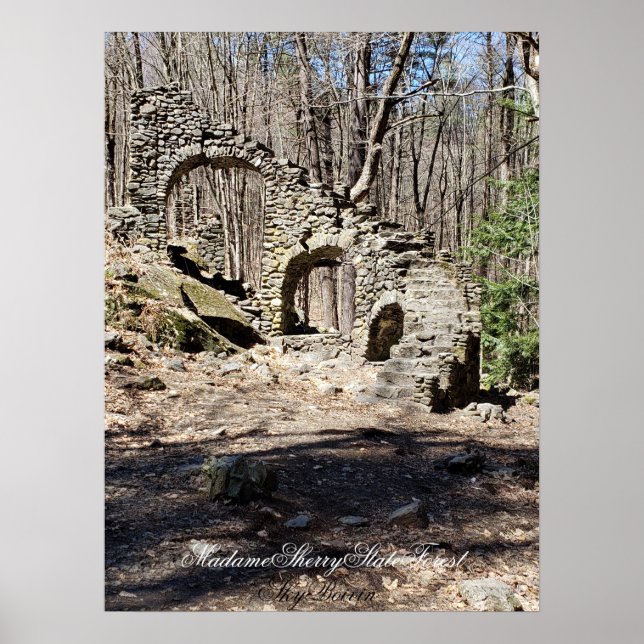 Madame Sherry State Forest Poster (Framsidan)