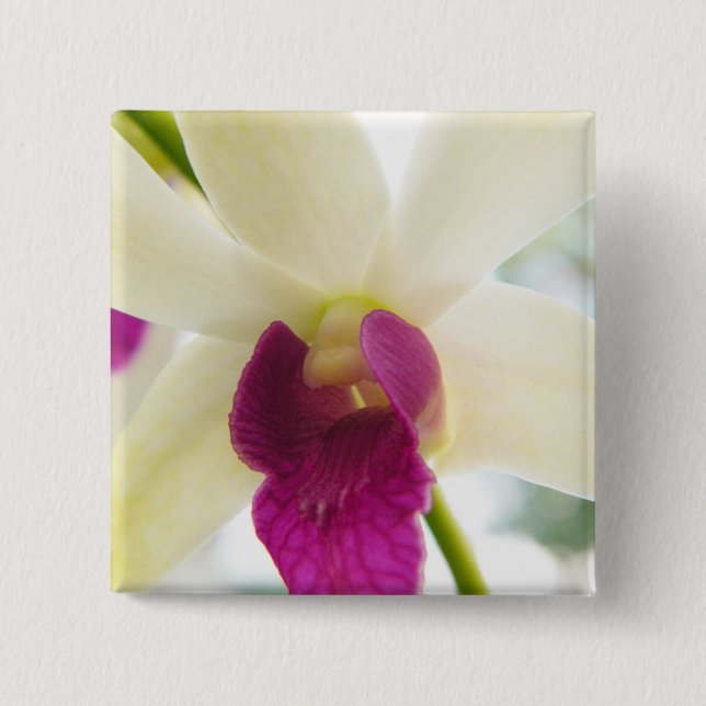 MadamOrchid Knapp (Framsida)