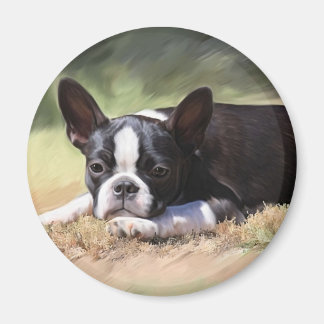 Maddi Magnet