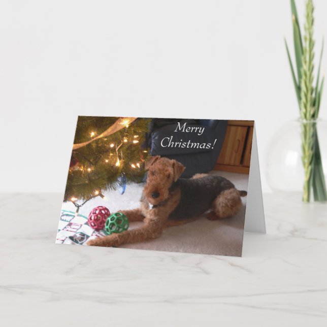 Maddie något att säga, "god jul! ", helgkort (Framsida)