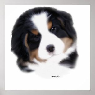 MadDog's Baby Ansikte Print Poster