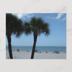 Madeira Beach Palms Vykort