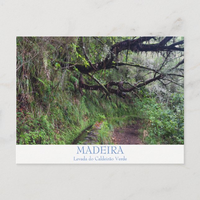 Madeira - Caldeirao Verde vykort med text (Framsida)