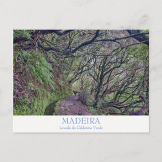 Madeira - Caldeirao Verde-vykort med text Vykort
