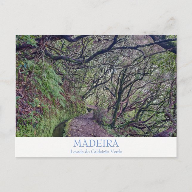 Madeira - Caldeirao Verde-vykort med text Vykort (Framsida)