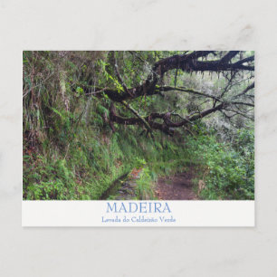 Madeira - Caldeirao Verde-vykort med text Vykort