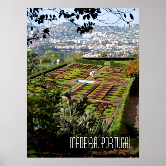 Madeira Funchal Botaniska trädgården Portugal Poster (Framsidan)
