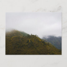 Madeira-kullar i disiga moln, humör natur