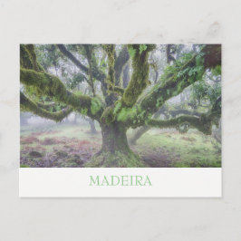 Madeira - Laurel träd vykort med text